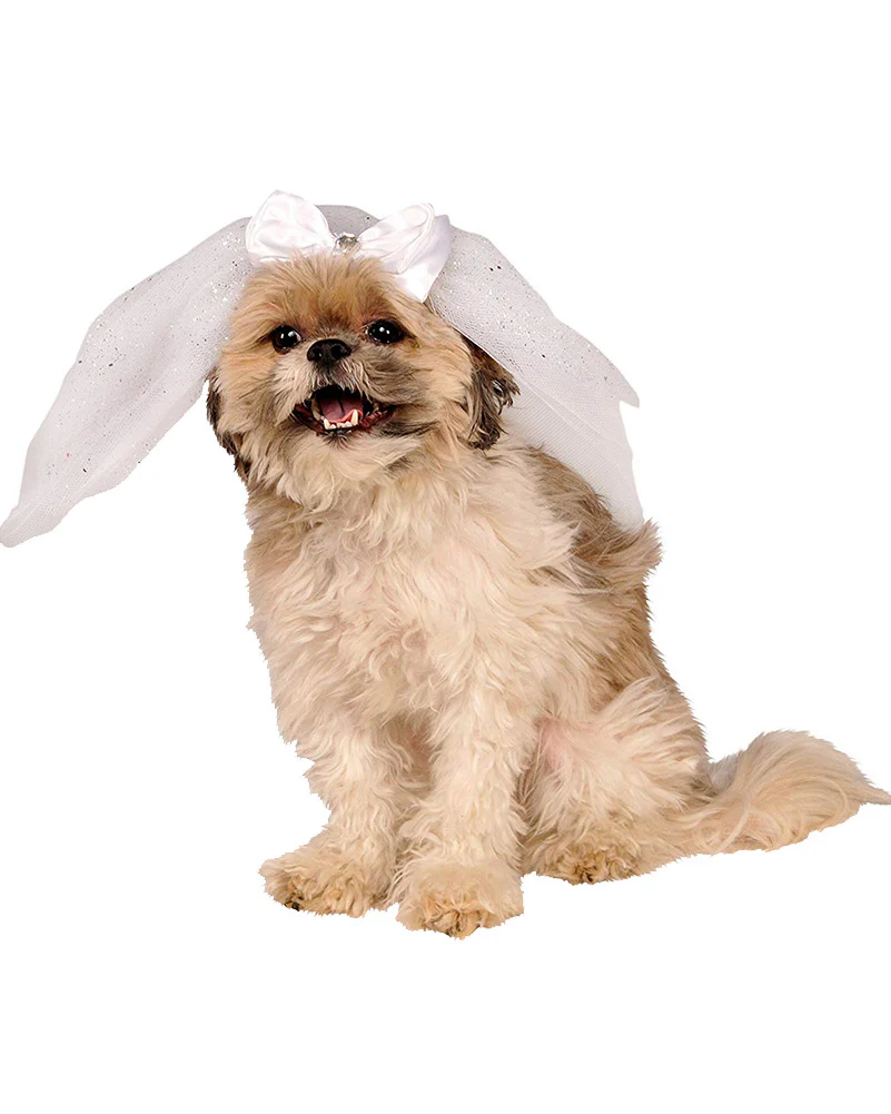 Wedding Veil Pet Costume - Image 2