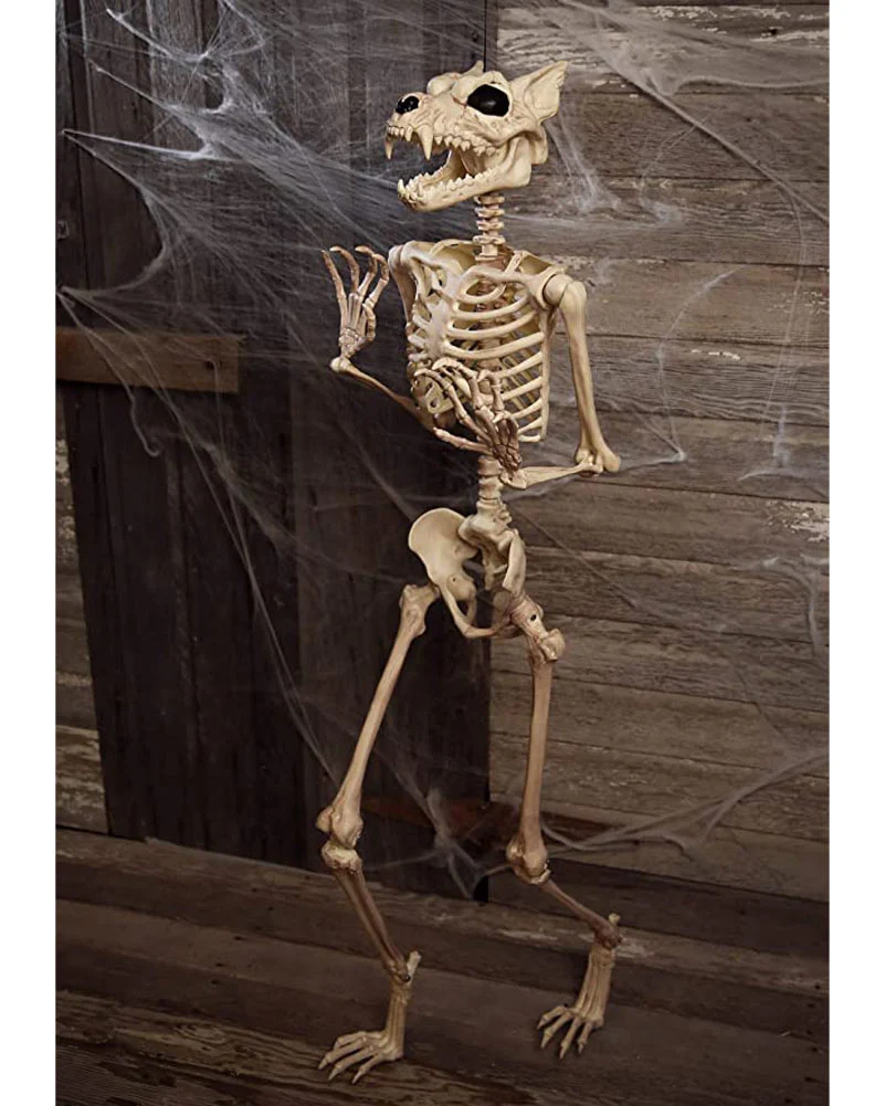 Werewolf Pose N Stay Skeleton 1.5m - Image 2