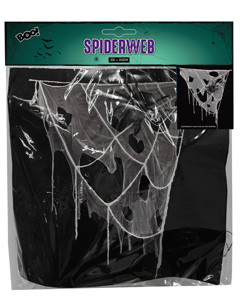 Window Spiderweb With Spider 2m - Image 2