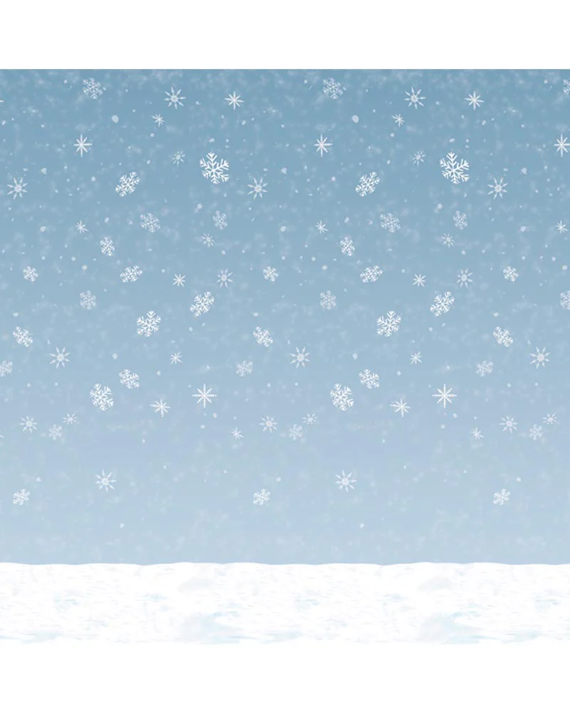 Winter Sky Wall Backdrop