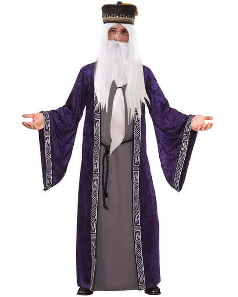 Wizard Mens Book Week Costume