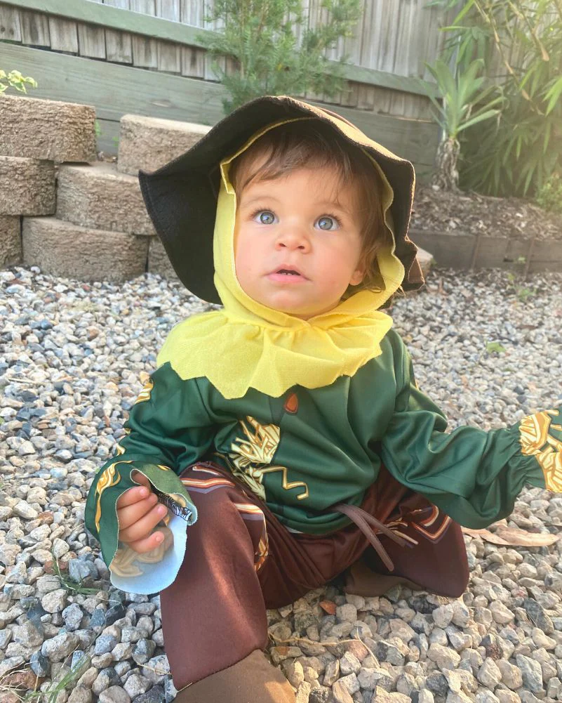 Wizard of Oz Scarecrow Boys Toddler Book Week Costume - Image 2