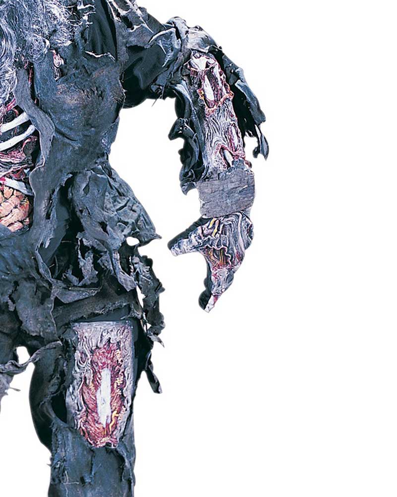 Zombie Arm and Leg Bone Set - Image 2